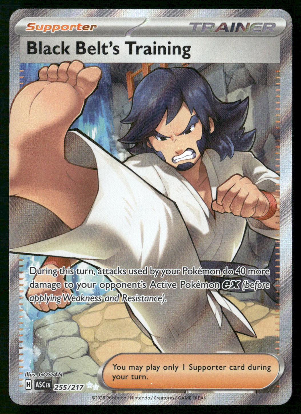 Black Belt's Training 255/217 ME: Ascended Heroes Ultra Rare NM