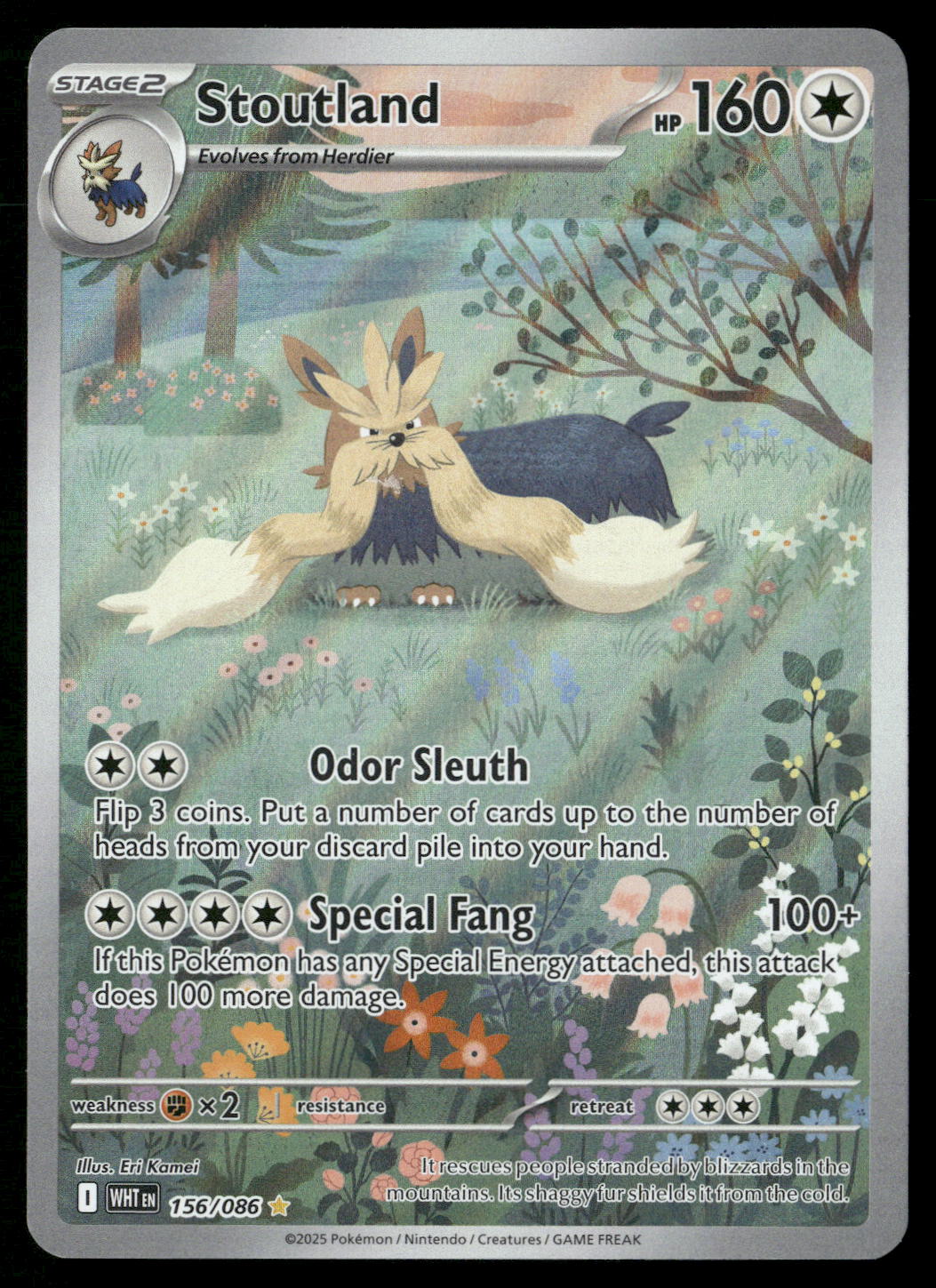 Stoutland 156/086 SV: White Flare Illustration Rare NM Pokemon