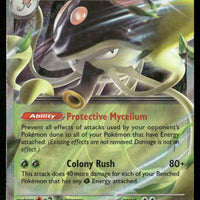 Toedscruel ex 005/091 SV: Paldean Fates Double Rare NM Pokemon