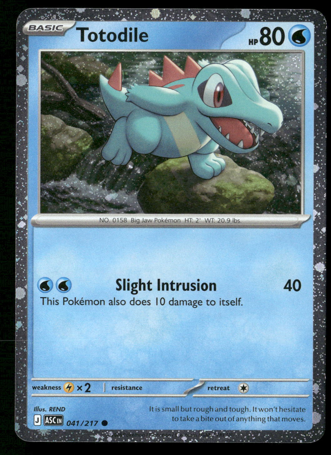 Totodile (Cosmos Holo) 041/217 Common NM