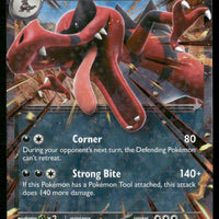 Krookodile ex 055/086 ME04: Chaos Rising Double Rare NM