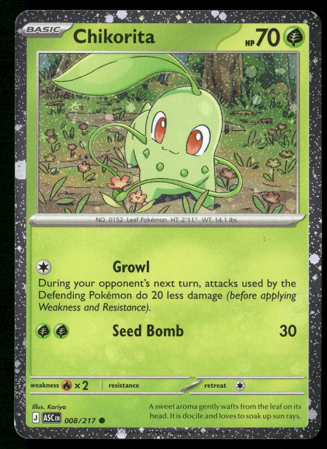 Chikorita (Cosmos Holo) 008/217  NM