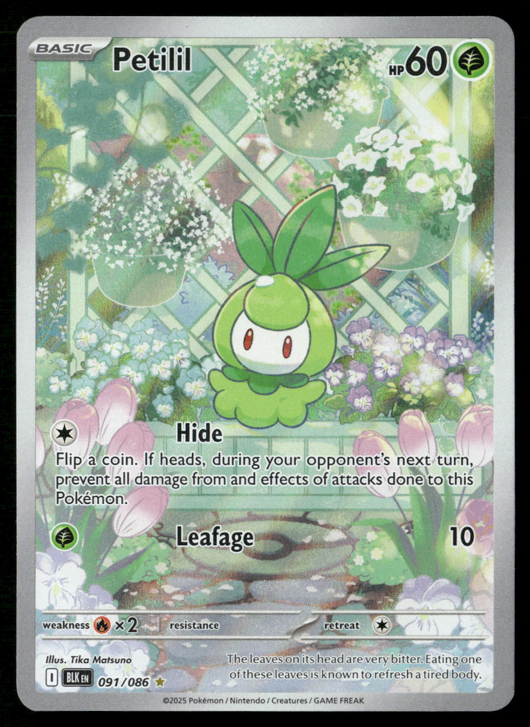 Petilil 091/086 SV: Black Bolt Illustration Rare NM Pokemon